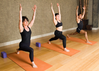 Photo of a private yoga class in progress.
